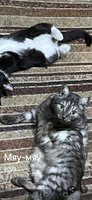 Фото и видео покупателей
