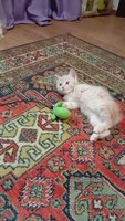 Фото и видео покупателей