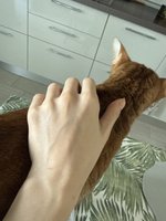 Фото и видео покупателей