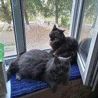 Фото и видео покупателей