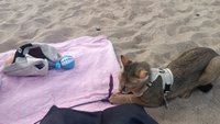 Фото и видео покупателей
