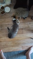 Фото и видео покупателей