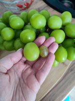 Фото и видео покупателей
