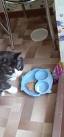 Фото и видео покупателей