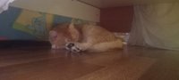 Фото и видео покупателей