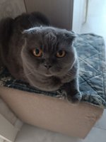 Фото и видео покупателей