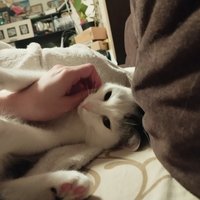 Фото и видео покупателей