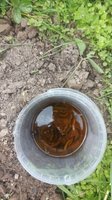 Фото и видео покупателей