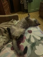 Фото и видео покупателей