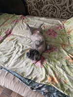 Фото и видео покупателей