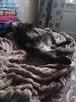 Фото и видео покупателей