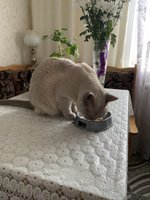 Фото и видео покупателей