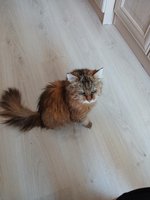 Фото и видео покупателей
