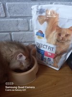Фото и видео покупателей