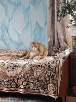 Фото и видео покупателей