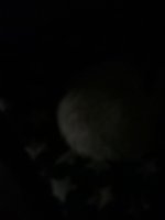 Фото и видео покупателей