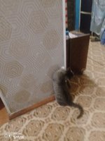 Фото и видео покупателей