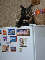 Фото и видео покупателей