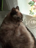 Фото и видео покупателей
