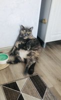 Фото и видео покупателей