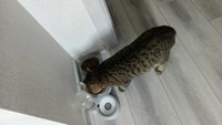 Фото и видео покупателей