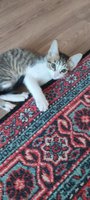 Фото и видео покупателей