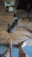 Фото и видео покупателей