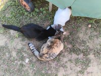 Фото и видео покупателей