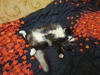 Фото и видео покупателей