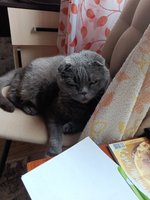 Фото и видео покупателей