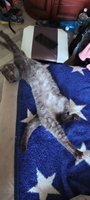 Фото и видео покупателей