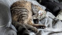 Фото и видео покупателей