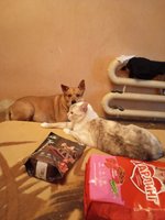 Фото и видео покупателей