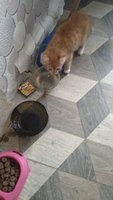 Фото и видео покупателей