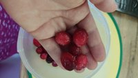 Фото и видео покупателей