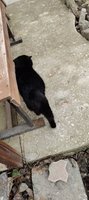 Фото и видео покупателей