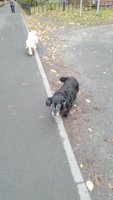Фото и видео покупателей