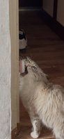 Фото и видео покупателей