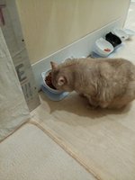 Фото и видео покупателей