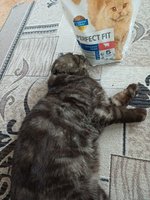 Фото и видео покупателей