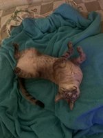 Фото и видео покупателей