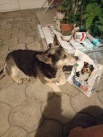 Фото и видео покупателей