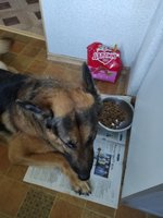 Фото и видео покупателей
