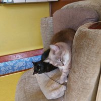 Фото и видео покупателей