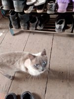 Фото и видео покупателей