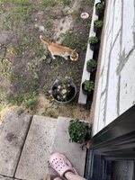 Фото и видео покупателей