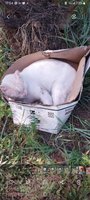 Фото и видео покупателей