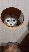 Фото и видео покупателей