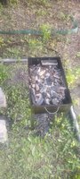 Фото и видео покупателей