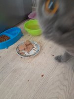 Фото и видео покупателей